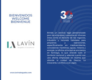 lavin_abogados